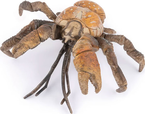 Crab - Coconut Crab (Papo)